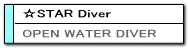 1stardiver